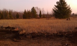 Sitework begins